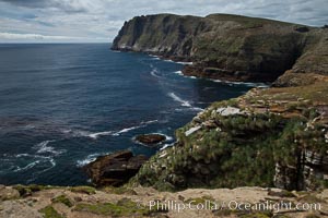Tall seacliffs overlook the southern Atlantic Ocean, a habitat on which albatross and penguin reside, New Island