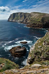 Tall seacliffs overlook the southern Atlantic Ocean, a habitat on which albatross and penguin reside.