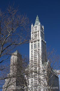 High rises tower over trees, Manhattan, New York City