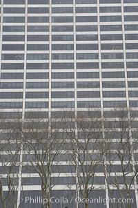 Trees and buildings, winter, Manhattan, New York City