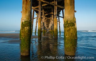 Newport Pier, underneath the pier, pilings and ocean, Newport Beach, California