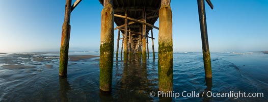 Newport Pier, underneath the pier, pilings and ocean, Newport Beach, California