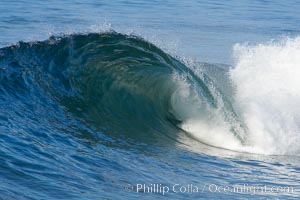 Breaking wave. The Wedge, Newport Beach, California