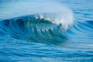 Breaking wave. The Wedge, Newport Beach, California