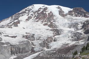 Nisqually Glacier, viewed from the Skyline Trail, summer, Paradise Meadows, Mount Rainier National Park, Washington