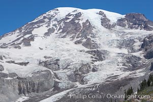 Nisqually Glacier, viewed from the Skyline Trail, summer, Paradise Meadows, Mount Rainier National Park, Washington