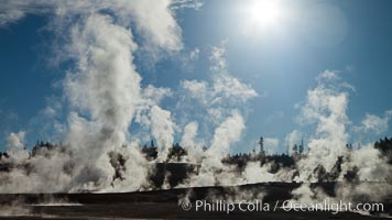 Steam rises at sunrise in Norris Geyser Basin.  Located at the intersection of three tectonic faults, Norris Geyser Basin is the hottest and most active geothermal area in Yellowstone National Park.