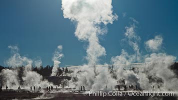 Steam rises at sunrise in Norris Geyser Basin.  Located at the intersection of three tectonic faults, Norris Geyser Basin is the hottest and most active geothermal area in Yellowstone National Park. Wyoming, USA, natural history stock photograph, photo id 26951