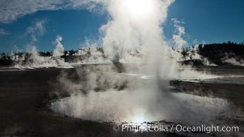 Steam rises at sunrise in Norris Geyser Basin.  Located at the intersection of three tectonic faults, Norris Geyser Basin is the hottest and most active geothermal area in Yellowstone National Park