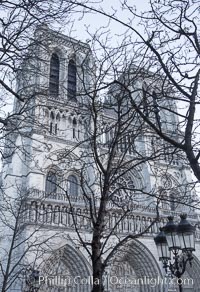 Notre Dame Cathedral, trees and streetlamp, west facade, Paris. Notre Dame de Paris (