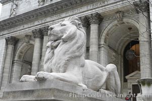 The stone lions Patience and Fortitude guard the entrance to the New York City Public Library, Manhattan