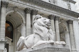 The stone lions Patience and Fortitude guard the entrance to the New York City Public Library, Manhattan