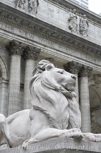 The stone lions Patience and Fortitude guard the entrance to the New York City Public Library, Manhattan