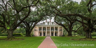 Oak Alley Plantation and its famous shaded tunnel of  300-year-old southern live oak trees (Quercus virginiana).  The plantation is now designated as a National Historic Landmark, Quercus virginiana, Vacherie, Louisiana