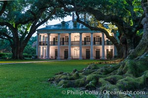 Oak Alley Plantation and its famous shaded tunnel of  300-year-old southern live oak trees (Quercus virginiana).  The plantation is now designated as a National Historic Landmark, Quercus virginiana, Vacherie, Louisiana