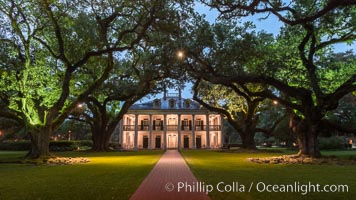 Oak Alley Plantation and its famous shaded tunnel of  300-year-old southern live oak trees (Quercus virginiana).  The plantation is now designated as a National Historic Landmark, Quercus virginiana, Vacherie, Louisiana