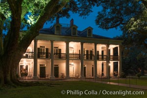 Oak Alley Plantation and its famous shaded tunnel of  300-year-old southern live oak trees (Quercus virginiana).  The plantation is now designated as a National Historic Landmark, Quercus virginiana, Vacherie, Louisiana