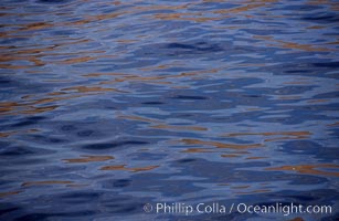 Ocean surface on cloudy day