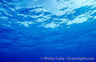 The ocean surface, seen from underwater, ripples with waves and wind and bright sunlight