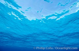 The ocean surface, seen from underwater, ripples with waves and wind and bright sunlight