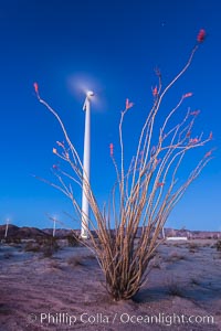 Ocotillo Express Wind Energy Projects, moving turbines lit by the rising sun,