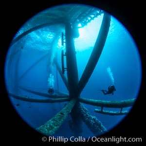 Oil Rig Ellen and Elly, Underwater Structure. Long Beach, California, USA, natural history stock photograph, photo id 34655