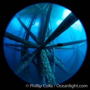 Oil Rig Ellen and Elly, Underwater Structure, Long Beach, California