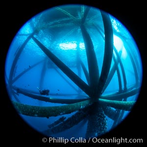 Oil Rig Ellen and Elly, Underwater Structure, Long Beach, California