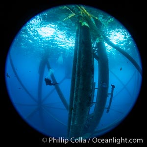 Oil Rig Ellen and Elly, Underwater Structure, Long Beach, California