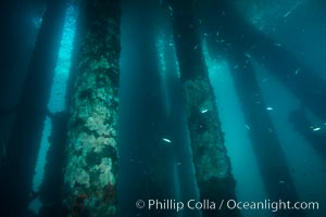 Oil Rig Eureka, Underwater Structure, Long Beach, California