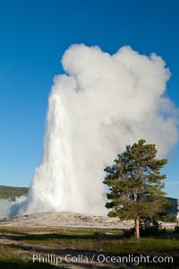 Old Faithful geyser, sunrise.  Reaching up to 185' in height and lasting up to 5 minutes, Old Faithful geyser is the most famous geyser in the world and the first geyser in Yellowstone to be named, Upper Geyser Basin, Yellowstone National Park, Wyoming
