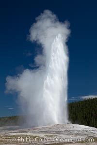 Old Faithful geyser.  Reaching up to 185' in height and lasting up to 5 minutes, Old Faithful geyser is the most famous geyser in the world and the first geyser in Yellowstone to be named, Upper Geyser Basin, Yellowstone National Park, Wyoming