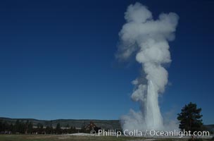 Old Faithful geyser, peak eruption, Upper Geyser Basin, Yellowstone National Park, Wyoming