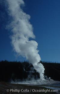 Old Faithful geyser during steam phase that follows the main eruption, Upper Geyser Basin, Yellowstone National Park, Wyoming