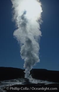 Old Faithful geyser during steam phase that follows the main eruption, Upper Geyser Basin, Yellowstone National Park, Wyoming