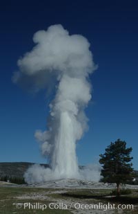 Old Faithful geyser at peak eruption, Upper Geyser Basin, Yellowstone National Park, Wyoming