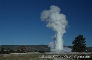 Old Faithful geyser at peak eruption, Upper Geyser Basin, Yellowstone National Park, Wyoming