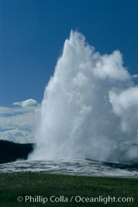 Old Faithful geyser at peak eruption, Upper Geyser Basin, Yellowstone National Park, Wyoming