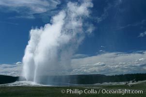 Old Faithful geyser at peak eruption, Upper Geyser Basin, Yellowstone National Park, Wyoming