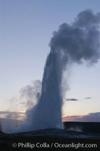 Old Faithful geyser at sunset, Upper Geyser Basin, Yellowstone National Park, Wyoming