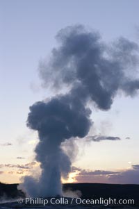 Old Faithful geyser at sunset, Upper Geyser Basin, Yellowstone National Park, Wyoming