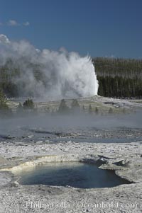 Old Faithful Geyser erupting, viewed from Geyser Hill with unidentified pool in foreground, Upper Geyser Basin, Yellowstone National Park, Wyoming