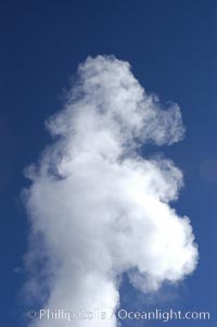 Steam billows from Old Faithful geyser as it cycles between eruptions. Sometimes the amount of steam is so voluminous that first-time visitors mistake it for a full eruption, Upper Geyser Basin, Yellowstone National Park, Wyoming