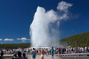 A crowd enjoys watching Old Faithful geyser at peak eruption, Upper Geyser Basin, Yellowstone National Park, Wyoming