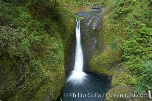 Oneonta Falls drops 50 feet in the Oneonta Gorge, Columbia River Gorge National Scenic Area, Oregon