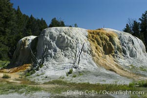 Orange Spring Mound.  Many years of mineral deposition has built up Orange Spring Mound, part of the Mammoth Hot Springs complex, Yellowstone National Park, Wyoming