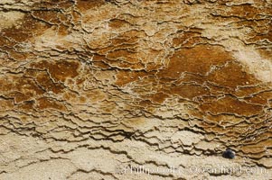 Detail showing mineral deposition and thermophilic cyanobacteria and algae, Orange Spring Mound, Yellowstone National Park, Wyoming