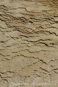 Detail showing mineral deposition and thermophilic cyanobacteria and algae, Orange Spring Mound, Yellowstone National Park, Wyoming