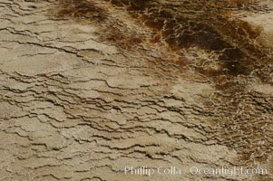 Detail showing mineral deposition and thermophilic cyanobacteria and algae, Orange Spring Mound, Yellowstone National Park, Wyoming