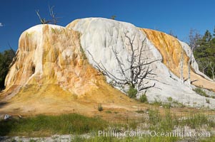 Orange Spring Mound.  Many years of mineral deposition has built up Orange Spring Mound, part of the Mammoth Hot Springs complex, Yellowstone National Park, Wyoming